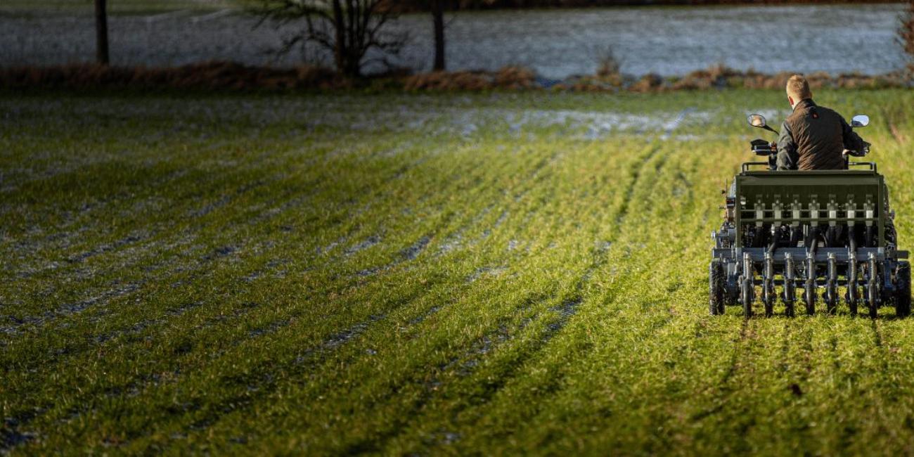 her er en til her er en til